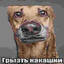vodnik