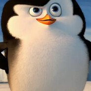SWIMMING PENGUIN