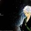 Toushiro Hitsugaya