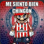 celositoo