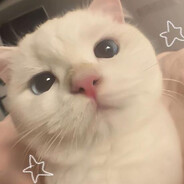 𝐏𝐞𝐰 𝐏𝐞𝐰 ✰