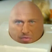 мистер шнейне