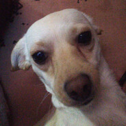 devil &quot;el abuelo viejo&quot;