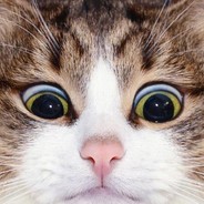 我是演员皮亚士