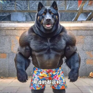 无敌的裤衩圣体