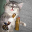 Avatar of player lari