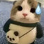 cookie