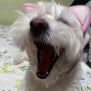 Дерибай Дерибаев