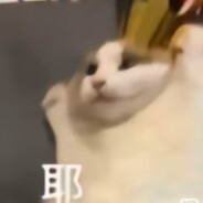 重生之我是刘亦菲