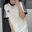 壹只兔兔子