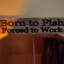 born to fish......forced to work