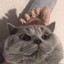 八级大狂风