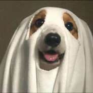 (((φ(◎ロ◎;)φ)))