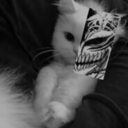 Соnечкиn мальчик