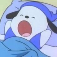 猪猪恒（打破所有质疑