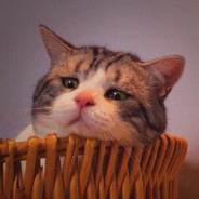 白天没吊事晚上吊没事