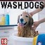 Wash_Dogz