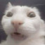 PabloX144FPS
