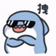 一只小鲨鱼
