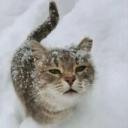 超级无敌粉红野猪骑士zy