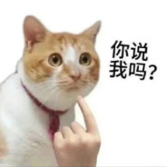 江月何年初照人