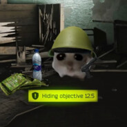 最近没赢过，看到你几把都赢了