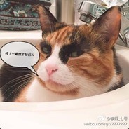 法克鱿别去a