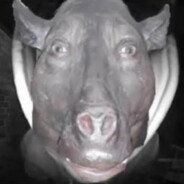 Скрипт свинья