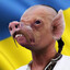 Боров
