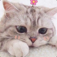 Дикий
