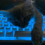 Avatar of player bitttrex