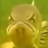 subbotinainterna912450