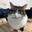 nyfee avatar