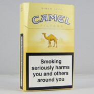 Camel