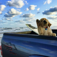 𝒴ℴ𝓊𝓃𝒟ℋ𝒜