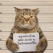 校园恶霸--静香