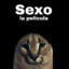 SEXO: La Película