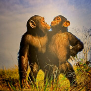 三国文物曹操握的笔