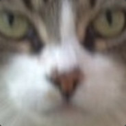 i cant get 300pp