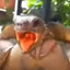 AAAAHHHHHHHHHG