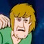 Shaggy
