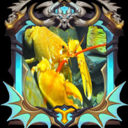 189 Yellow Lobsters, 6 Crab