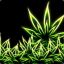GreenKryptonite Kush Weed