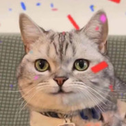 妹妹小学里羊死了需要哥哥寄八只羊