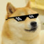 The Doge Lord