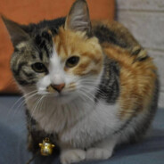 在你心中只是just a friend