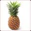Pineapple Pro