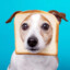 Dog Bread