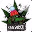 dany60rus_pskov