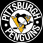 Pitsburgh Penguins